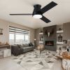 Amici 48 in. Indoor Black Low Profile Standard Ceiling Fan with Integrated LED Light Kit, Remote Included
